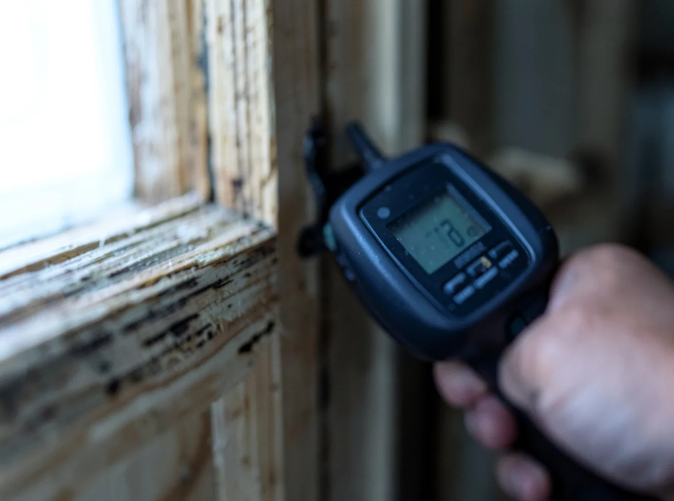 Moisture Inspection And Documentation in Coulters, PA